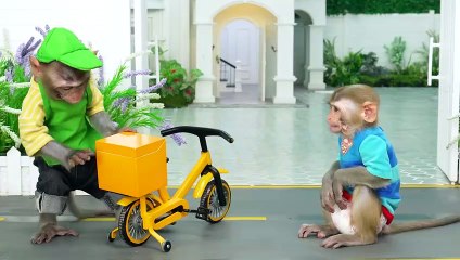 Monkey baby funny drama