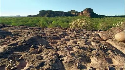 01. Challenges Of Life