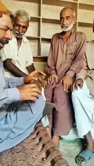 Whit for end Cats Sounds