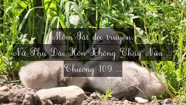 C105-C112 Nữ Phụ Đào Hôn Không Chạy Nữa