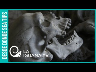 ¡Los muertos le pasan factura a Trump! La reelección ahora es una quimera