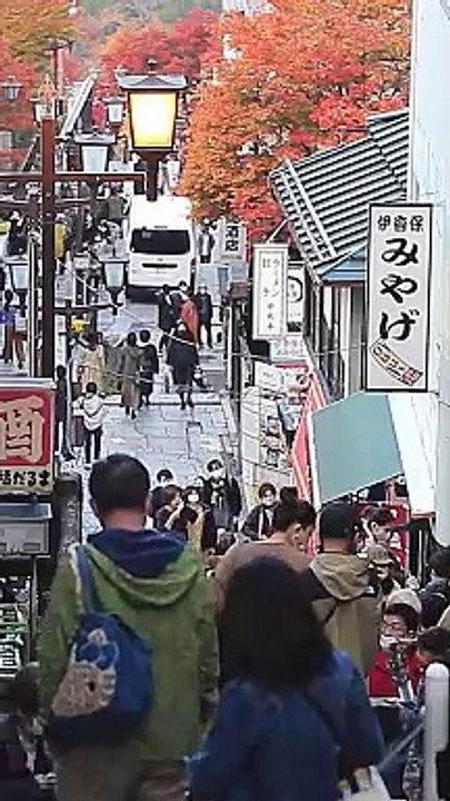 Quán ăn Nhật Bản dành cho những người cô đơn hay đi 1 mình ‍♀️ #dulich #nhatban #dulichnhatban #travel #japan