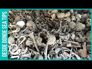 ¿Cuántas muertes se hubieran producido si los mercenarios hubiesen logrado sus objetivos?