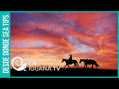 ¡Como en el salvaje oeste! En el contrato firmado por Guaidó los mercenarios son cazarrecompensas