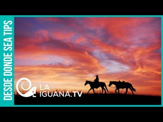 ¡Como en el salvaje oeste! En el contrato firmado por Guaidó los mercenarios son cazarrecompensas