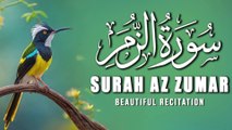 Surah Az-Zumar Heart Melting Quran Recitation  | سورة الزمر |Tilawat E Quran |AL Quran