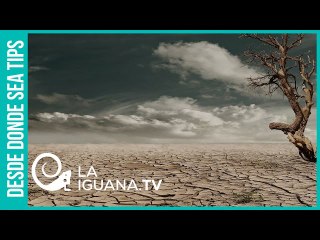 ¿Se acerca su final? Conozca el último episodio de la extensa epopeya de desaciertos de Juan Guaidó