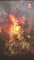 INCENDIOS NO DAN TREGUA A SANTA CRUZ Y BOLIVIA