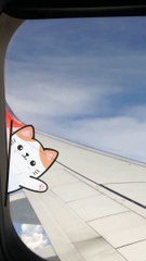 Peekaboo I Do not copy in aeroplane I video editing