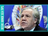 Hoy está claro: En Bolivia hace un año no hubo fraude electoral pero sí hubo un Golpe de estado