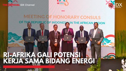 RI-Afrika Gali Potensi Kerja Sama Bidang Energi