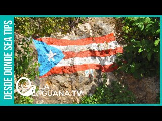 ¿Cuáles son las causas de la trágica condición en que se encuentra Puerto Rico?