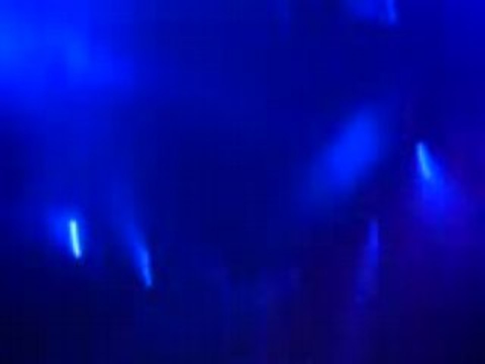 la bush halloween fever 2007