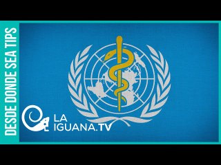 ¿Cuándo terminarán la pandemia y la cuarentena? Esta es la respuesta de la OMS