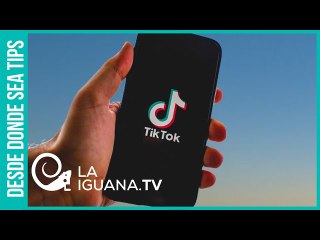 ¿Cuál fue la respuesta de TikTok frente a la decisión de Trump de bloquear la red social en EEUU?
