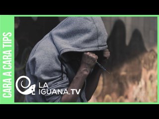 Con datos: Sepa cuánta droga de Colombia se logra pasar a territorio venezolano