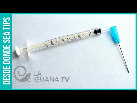 ¿Cuáles son las investigaciones más adelantadas sobre la vacuna contra el Covid-19?