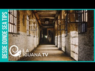 ¿Qué harán Guaidó y su pandilla cuando ya no sean diputados?