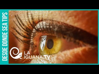 ¿Existe el inconsciente? Según Sarte no y el ser humano es siempre responsable de todas sus acciones