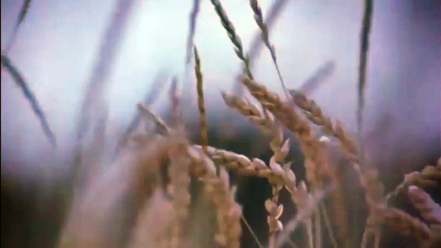 123M0VIES WEBRIP 1280 .MP4