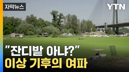 [자막뉴스] 가뭄에 녹조에...자연재해 시달리는 남유럽 / YTN