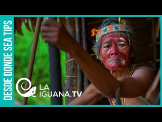 ¿Desde cuándo y dónde el 12 de octubre es el día de la resistencia indígena?