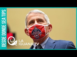¡Idiota, te voy a despedir! Así Donanld Trump insultó y amenazó al famoso inmunólogo Anthony Fauci
