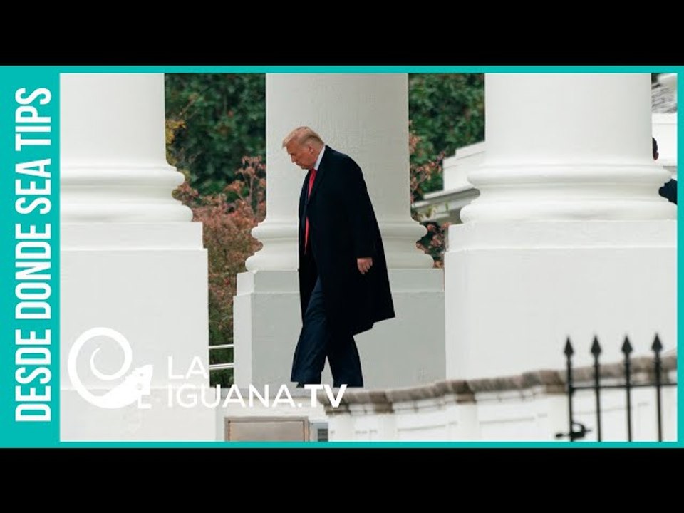 ¿Qué dicen las encuestas a pocos días de las elecciones presidenciales en EEUU?