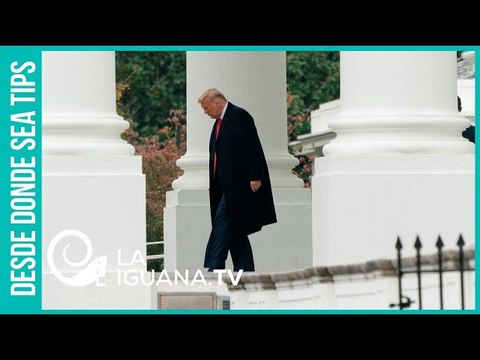 ¿Qué dicen las encuestas a pocos días de las elecciones presidenciales en EEUU?