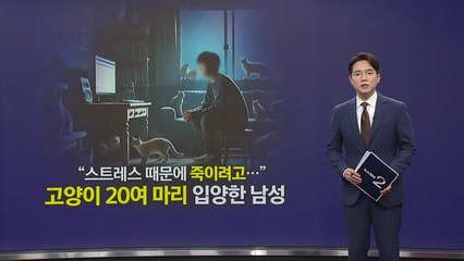"목 조르고, 불 붙이고..." '갭투자 실패' 화풀이 대상 된 길고양이 [앵커리포트] / YTN