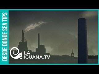 ¿Qué proponen Biden y Trump para resolver el fundamental problema ecológico a escala mundial?