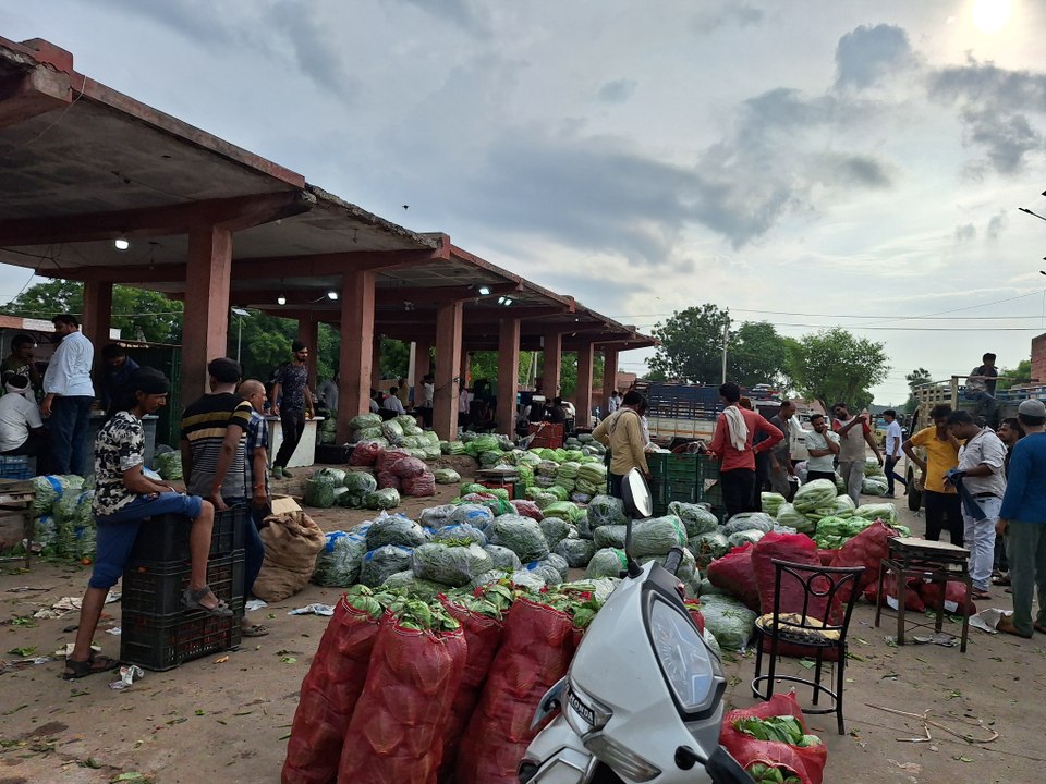 मंडी में 10 से 15 रुपए किलो बिक रही भिंडी दुकानों में 80 रुपए किलो, लहसुन 400 किलो में बिक रहा