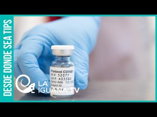 ¿Cuál es el estatus de las varias vacunas que se están elaborando a nivel mundial?