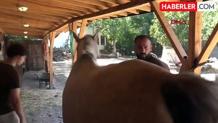 Öğretim görevlisi, nalbant oldu: Paraya para demiyor