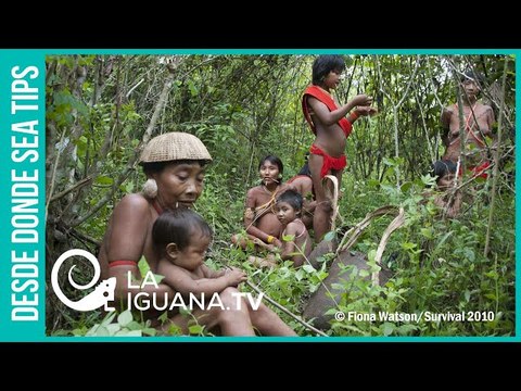 Como la Misión Nuevas Tribus: El plan de los gringos para hacerse con los recursos latinoamericanos