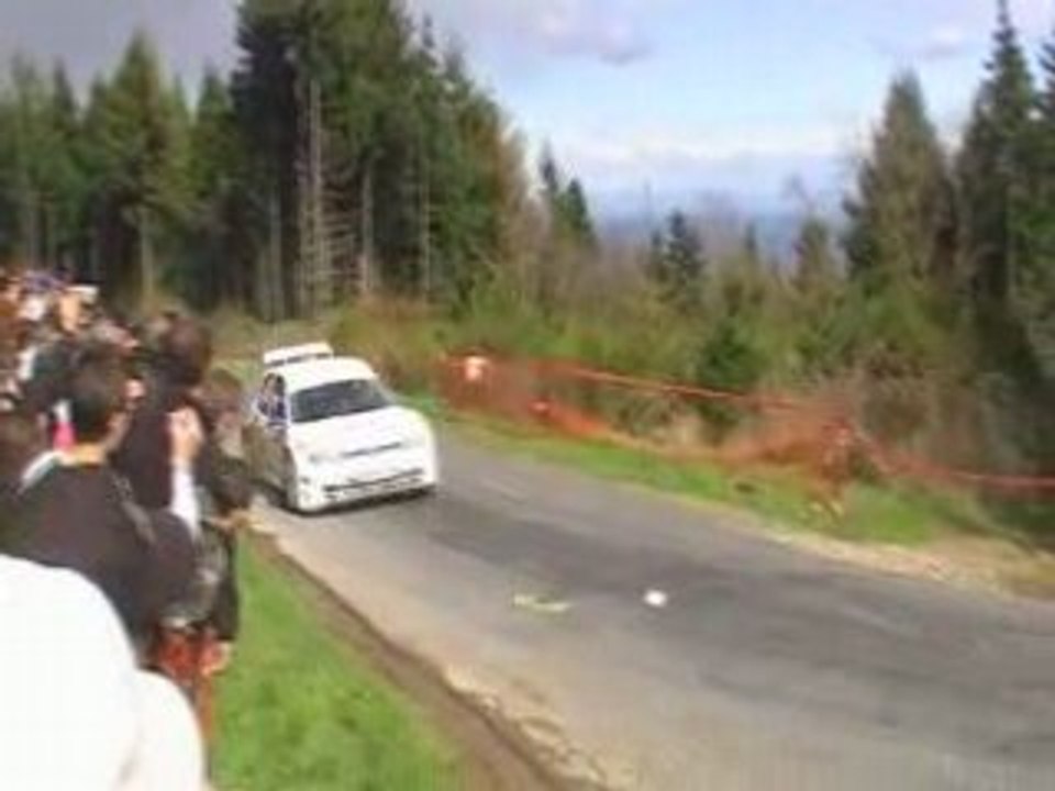 Rally  lyon charbonnieres 2008