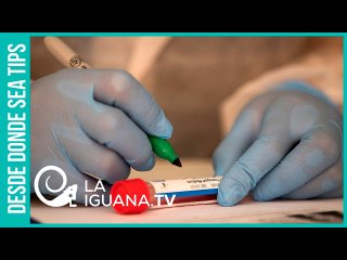 ¿Quiénes recibirán de primero la vacuna contra el Covid-19 en Venezuela?