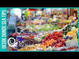 El mayor productor de alimentos del mundo: La gran importancia estratégica del Mercosur