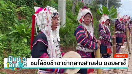 ชมแสงสุดท้าย ดูควายฝูงสุดท้ายบนเกาะหมาก | เป็นข่าวเล่าเรื่อง | 4 ก.ย. 67  | PART 2