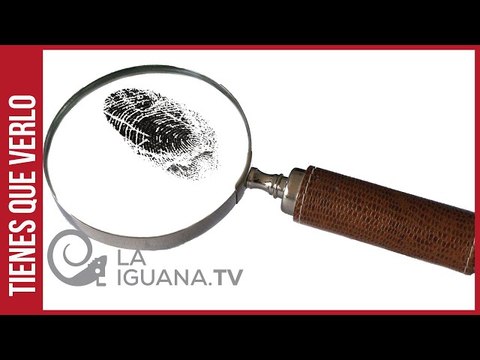 MP venezolano solicitó a Trinidad y Tobago la entrega de jefas de red de prostitución de venezolanas