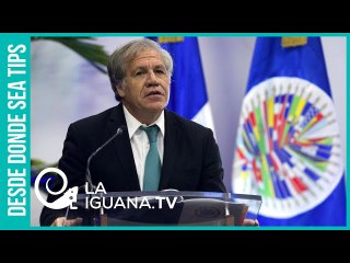 ¡Hasta el inefable Luis Almagro tuvo que reconocerlo! A Juan Guaidó lo abandonó hasta su sombra