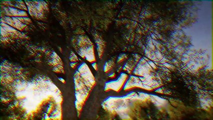 Police Simulator Patrol Officers - Tropical Taskforce Pack Trailer