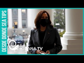Crear un camino para que obtengan la ciudadanía: La propuesta de Kamala Harris para los migrantes