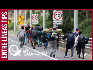 Migraron huyendo de la crisis y los agarró la pandemia:130.000 venezolanos regresaron en 2020