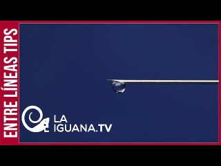 ¿Inmunización para todos? Algunos números para entender cómo va la campaña de vacunación en el mundo