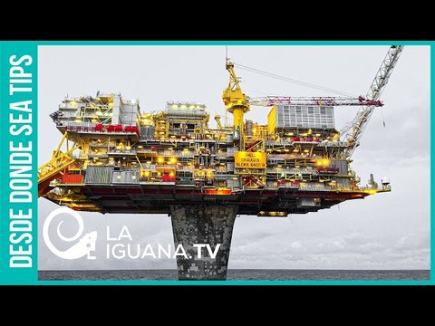 ¿Cómo está el mercado del petróleo después de más de un año de pandemia de Covid-19?