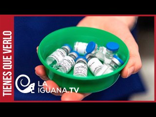 Así arrancó campaña de vacunación contra el Covid-19 en el estado La Guaira