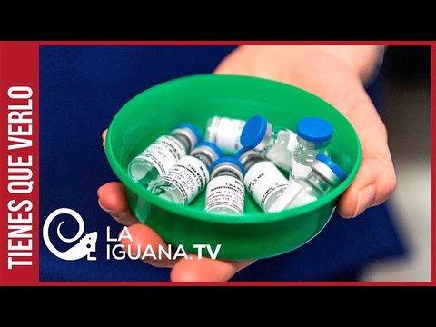 Así arrancó campaña de vacunación contra el Covid-19 en el estado La Guaira