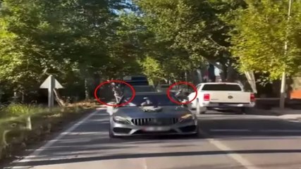 Otomobilden silahlarını ateşleyen gelin ve damada balayı dönüşü 4’er bin lira ceza