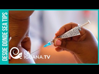 ¿Solidaridad en pandemia? 10% de los países acapararon todas las vacunas disponibles en el mercado